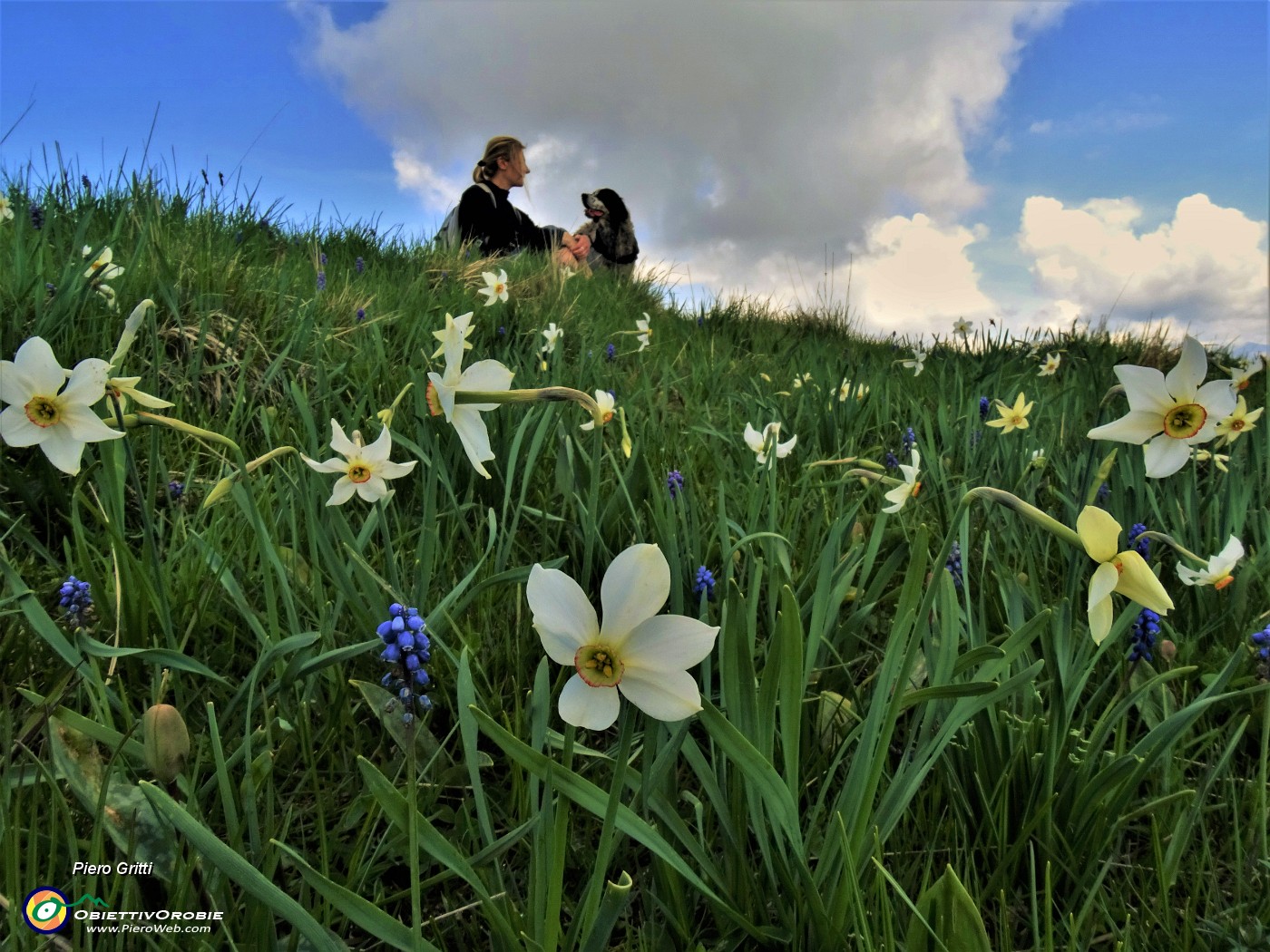 32 Narcisi e muscari in piena fioritura.JPG